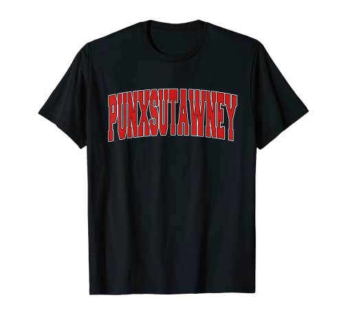 PUNXSUTAWNEY PA PENNSYLVANIA Uni-Stil USA Vintage-Sport T-Shirt