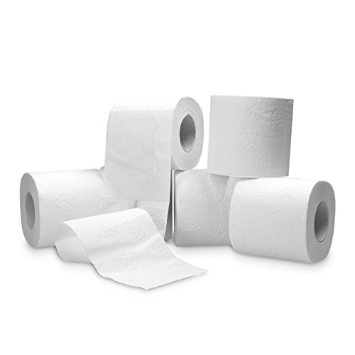 96 Rollen HSM Toilettenpapier 3-lagig Klopapier WC-Papier Papierhandtücher Papier