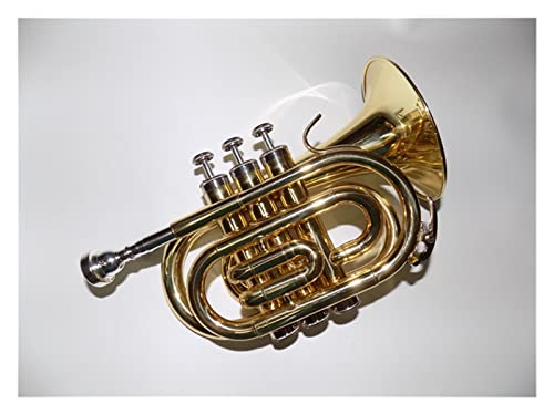 Bb-Messing-Taschentrompete Schallbecher Lack mit Koffer und Mundstück Musikinstrumente Professionelles Standard-Trompeten-Set