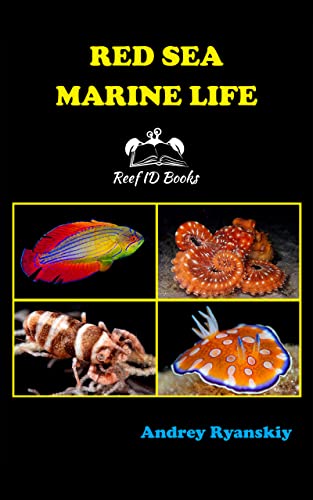 Red Sea Marine Life (English Edition)