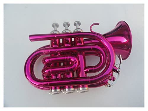 Rose Fuchsia Bb- Taschentrompete Musikinstrument Mit Fall Für Anfänger Geeignet Trompeten Anfänger