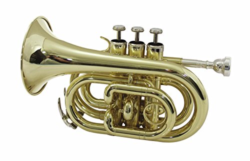 Set aus 2 x Pocket-Trompeten HELGE, B-Trompete, gold - Taschentrompete - klangbeisser