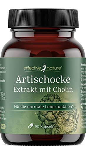 Artischocken Extrakt Kapseln - 6:1 hochdosiert - 2400 mg pro Tag - 2,5% Cynarin-Anteil - Mit Cholin für die normale Leberfunktion