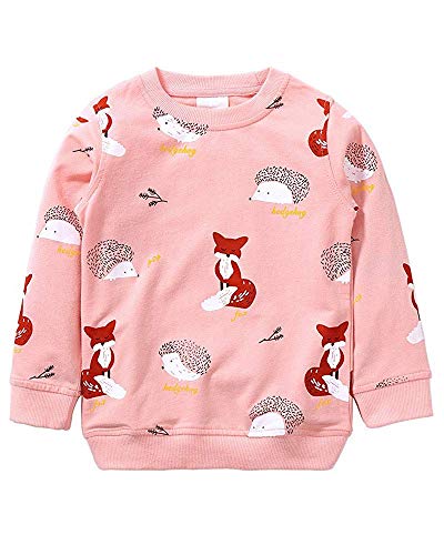 Little Hand Mädchen Sweatshirt für Kinder Baumwolle Top Casual Jumper Kleinkind Langarm Pullover, 116 / HerstellerGröße: 120, 1-rosa