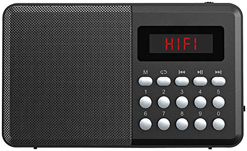 auvisio Kleines Radio: FM-Taschenradio, Bluetooth, MP3-Player, Display, USB, microSD & Akku (Radio mit USB Stromversorgung)