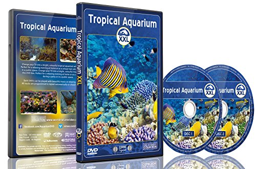 Aquarium DVD - 2 DVD Set Tropisches Aquarium XXL - 2 Stunden mit bunten Korallen und Fischen