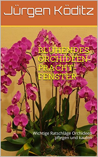 BLÜHENDES ORCHIDEEN-PRACHT-FENSTER: Wichtige Ratschläge Orchideen pflegen und kaufen
