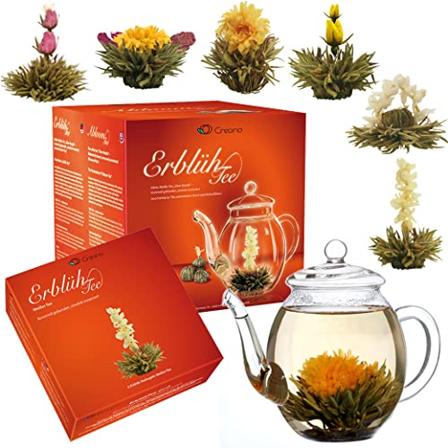 Creano Teeblumen Geschenkset - Erblühtee Frühjahrslese mit 500ml Glaskanne & 6x Weißer Tee - 7 teilig - Geschenk zu Weihnachten