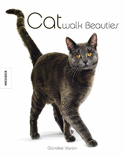 Catwalk Beauties: Katzen mit Stil und Charakter