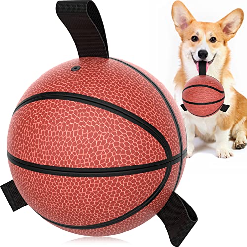 HETOO Hundespielzeug, Interaktives Basketball-Spielzeug für Hunde mit Haltebändern, Hundespielzeug für Tauziehen, Welpen-Geburtstagsgeschenke, strapazierfähige Hundebälle für kleine Rassen