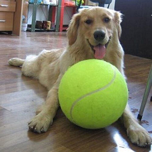 Großer Tennisball für Hunde, 24 cm