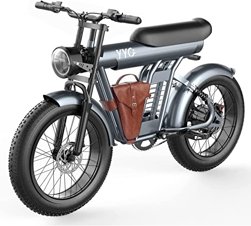 YYG elektrisches Fahrrad für Erwachsene, Ebike mit bürstenlosem Motor, entfernbare Batterie 48V/20Ah, Fetter Reifen 20