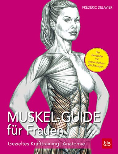 Muskel Guide für Frauen: Gezieltes Krafttraining - Anatomie