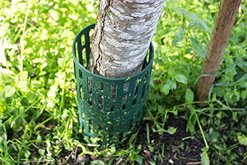 Tinobu Stammschutz Manschette gegen Mähschäden | schützt Bäumstämme im Rasen gegen mechanische Beschädigungen durch Rasenmäher, Freischneider, Kantenschneider (10)